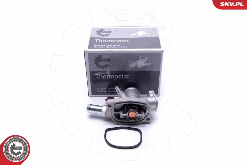 Thermostat, coolant